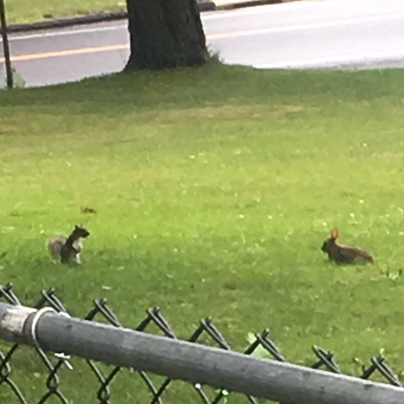 Meet your Posher, Kim - Picture 1 of 1